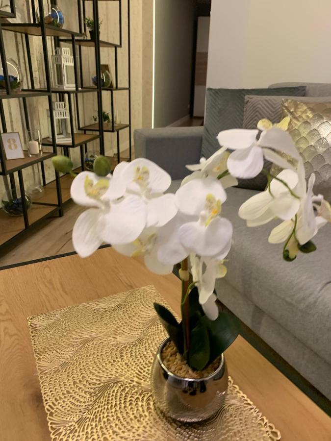 Moderno Apartament Krakov Exteriér fotografie